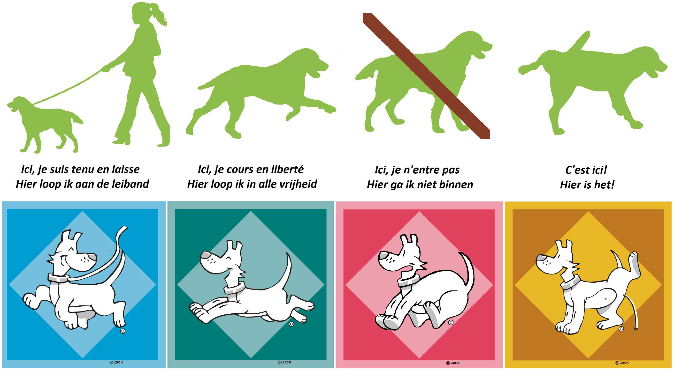 Où promener mon chien ?  Citoyen - Bruxelles Environnement